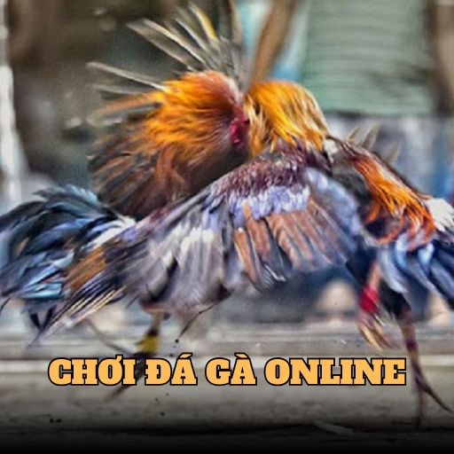 Bật Mí Cách Chơi Đá Gà Online Hiệu Quả Tại J88